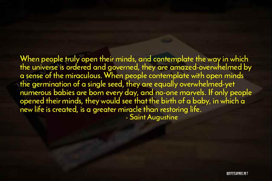 Seed Germination Quotes By Saint Augustine Seed Germination Quotes By Saint Augustine