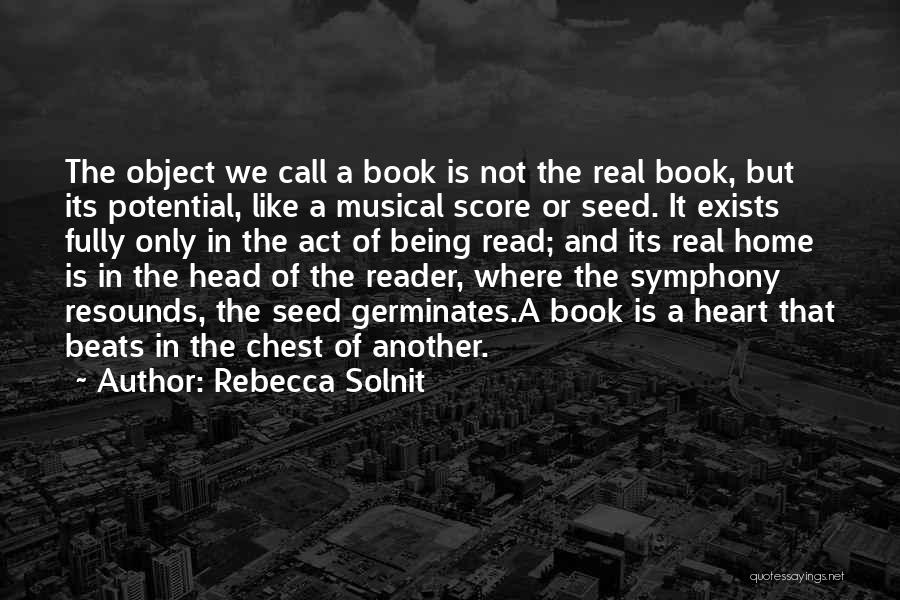 Seed Head Quotes By Rebecca Solnit