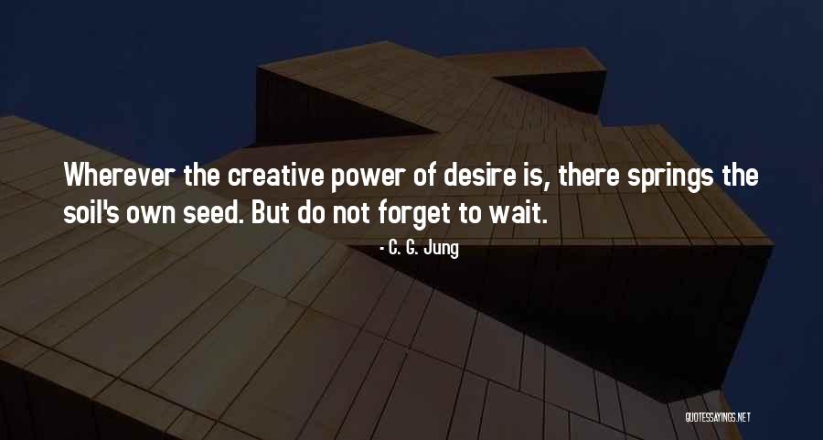 Seed Of Desire Quotes By C. G. Jung Seed Of Desire Quotes By C. G. Jung