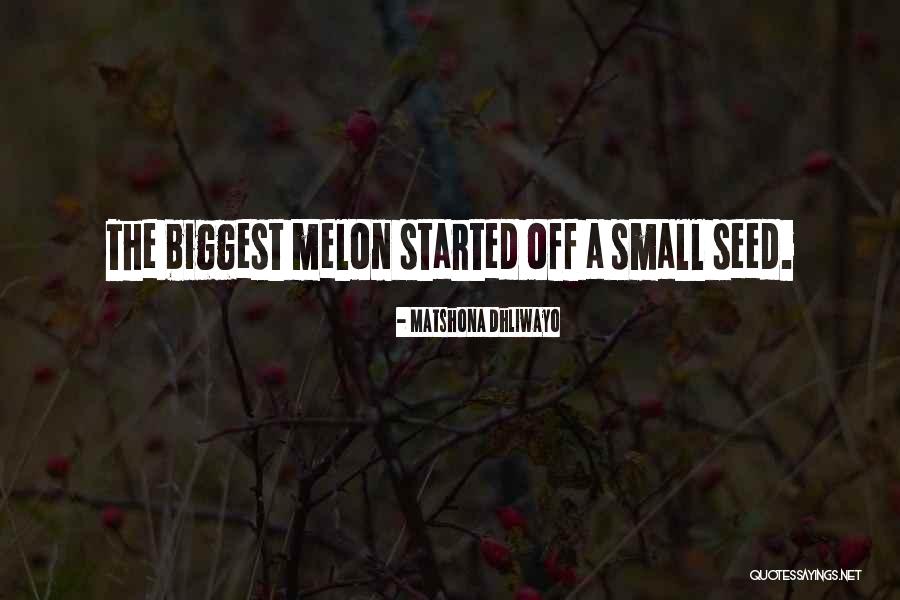 Seed Of Greatness Quotes By Matshona Dhliwayo