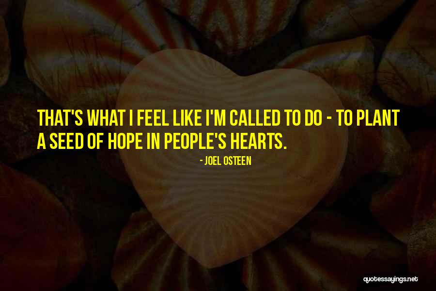 Seed Of Hope Quotes By Joel Osteen Seed Of Hope Quotes By Joel Osteen