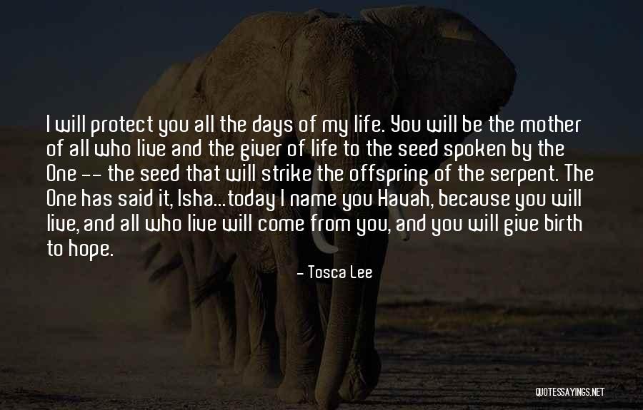 Seed Of Hope Quotes By Tosca Lee Seed Of Hope Quotes By Tosca Lee