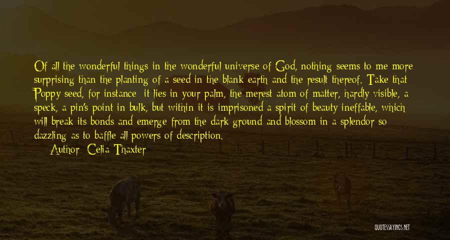 Seed Planting Quotes By Celia Thaxter