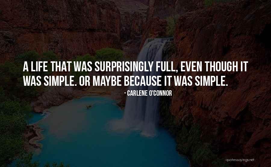 Seed Plots Quotes By Carlene O'Connor Seed Plots Quotes By Carlene O'Connor