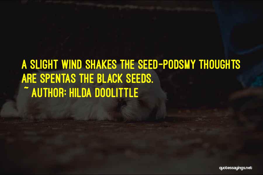 Seed Pods Quotes By Hilda Doolittle