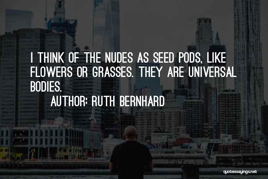 Seed Pods Quotes By Ruth Bernhard