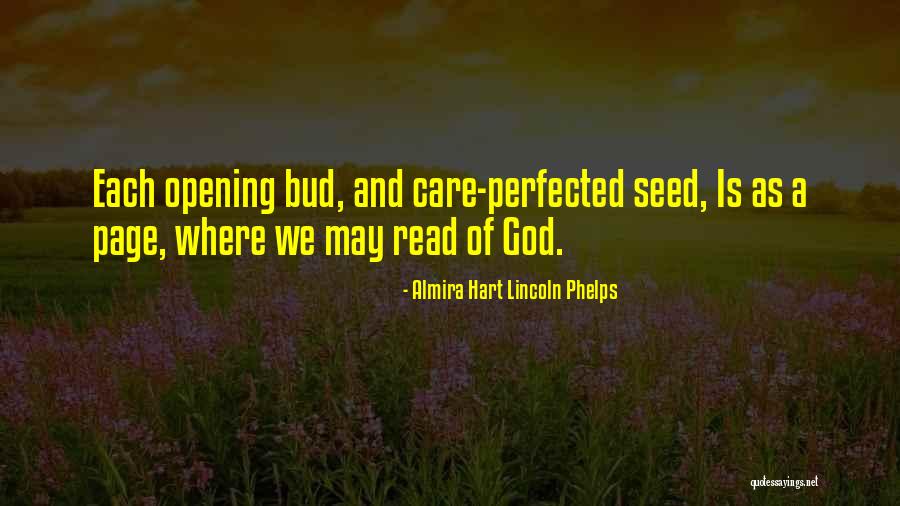 Seed Quotes By Almira Hart Lincoln Phelps Seed Quotes By Almira Hart Lincoln Phelps