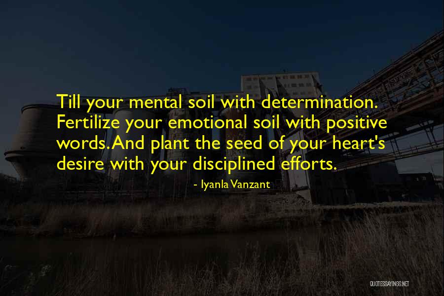 Seed Quotes By Iyanla Vanzant Seed Quotes By Iyanla Vanzant