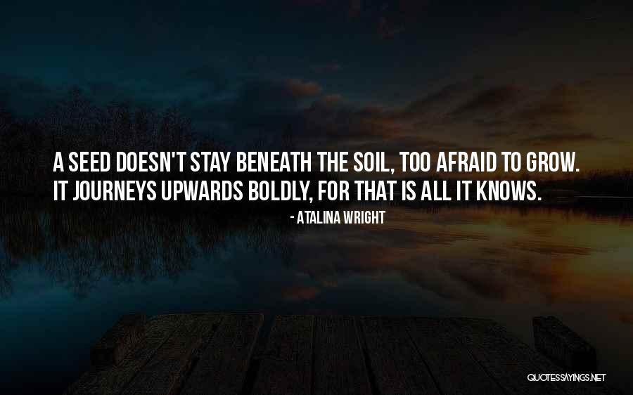 Seed Quotes Quotes By Atalina Wright Seed Quotes Quotes By Atalina Wright
