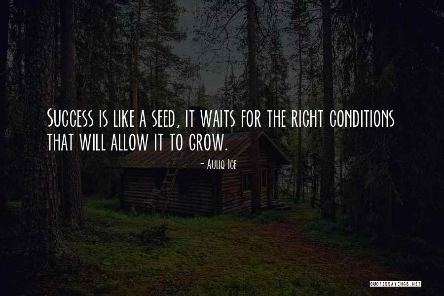 Seed Quotes Quotes By Auliq Ice Seed Quotes Quotes By Auliq Ice