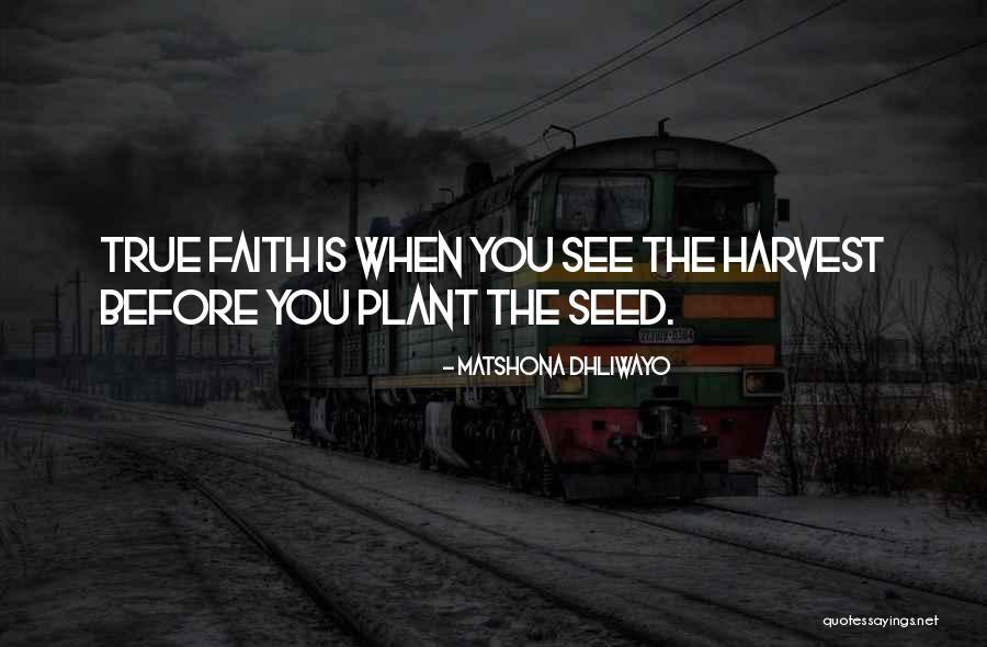 Seed Quotes Quotes By Matshona Dhliwayo Seed Quotes Quotes By Matshona Dhliwayo