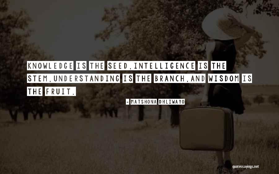 Seed Quotes Quotes By Matshona Dhliwayo Seed Quotes Quotes By Matshona Dhliwayo