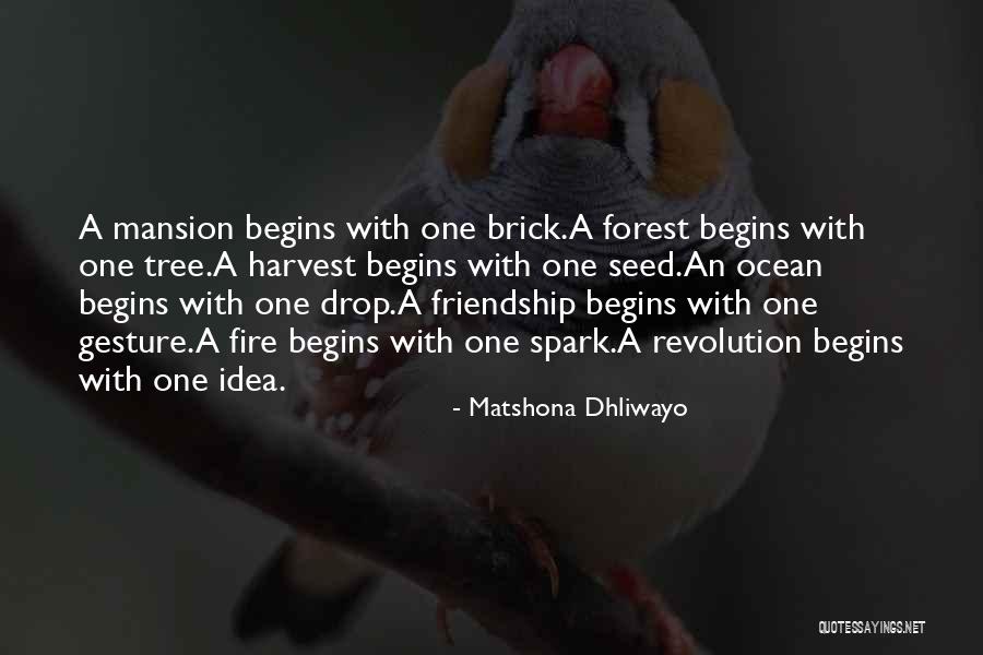 Seed Quotes Quotes By Matshona Dhliwayo Seed Quotes Quotes By Matshona Dhliwayo