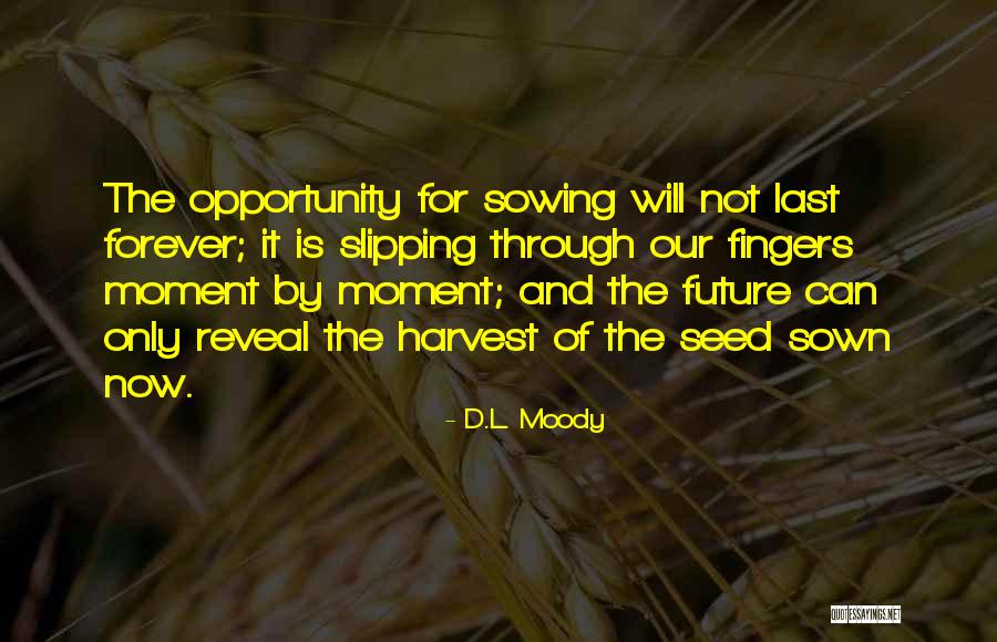 Seed Sown Quotes By D.L. Moody