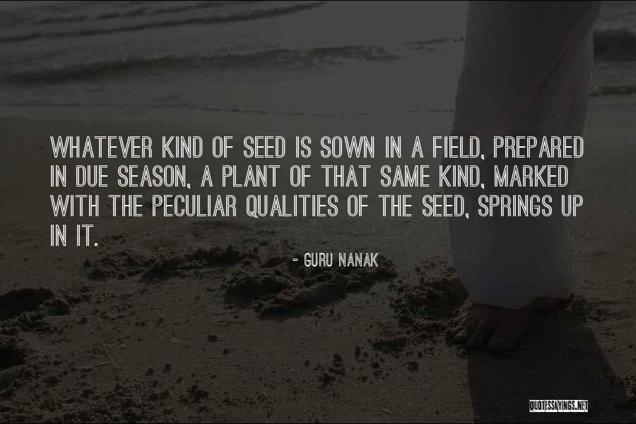 Seed Sown Quotes By Guru Nanak