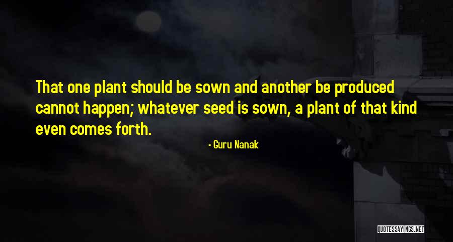 Seed Sown Quotes By Guru Nanak