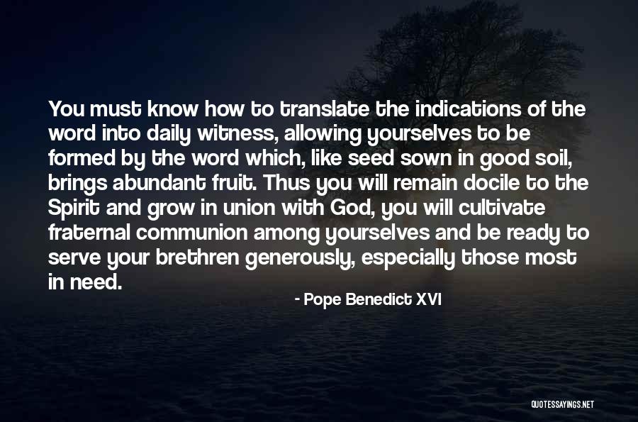 Seed Sown Quotes By Pope Benedict XVI