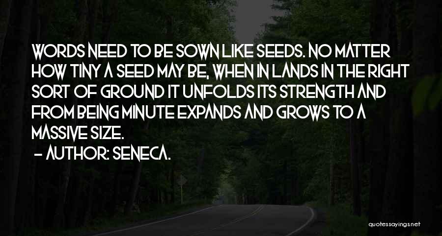 Seed Sown Quotes By Seneca.
