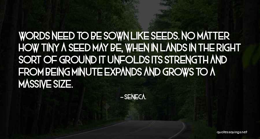 Seed Sown Quotes By Seneca.