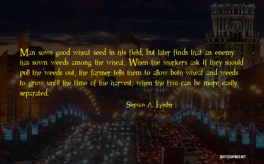 Seed Sown Quotes By Stephan A. Hoeller