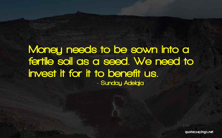 Seed Sown Quotes By Sunday Adelaja