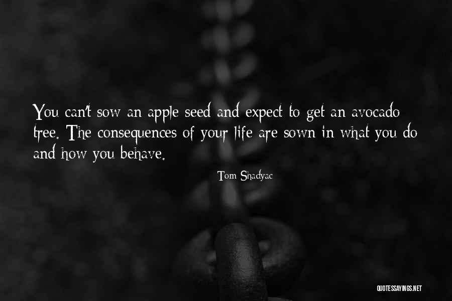 Seed Sown Quotes By Tom Shadyac