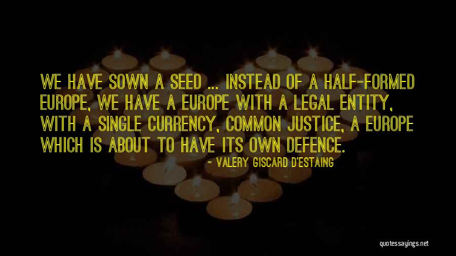 Seed Sown Quotes By Valery Giscard D'Estaing