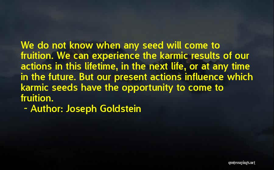 Seed Time Quotes By Joseph Goldstein