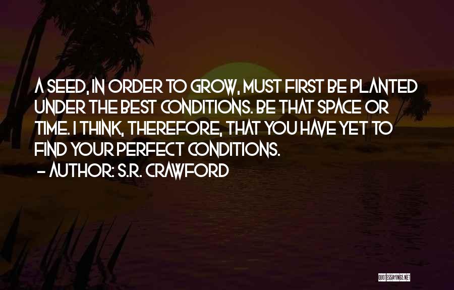 Seed Time Quotes By S.R. Crawford