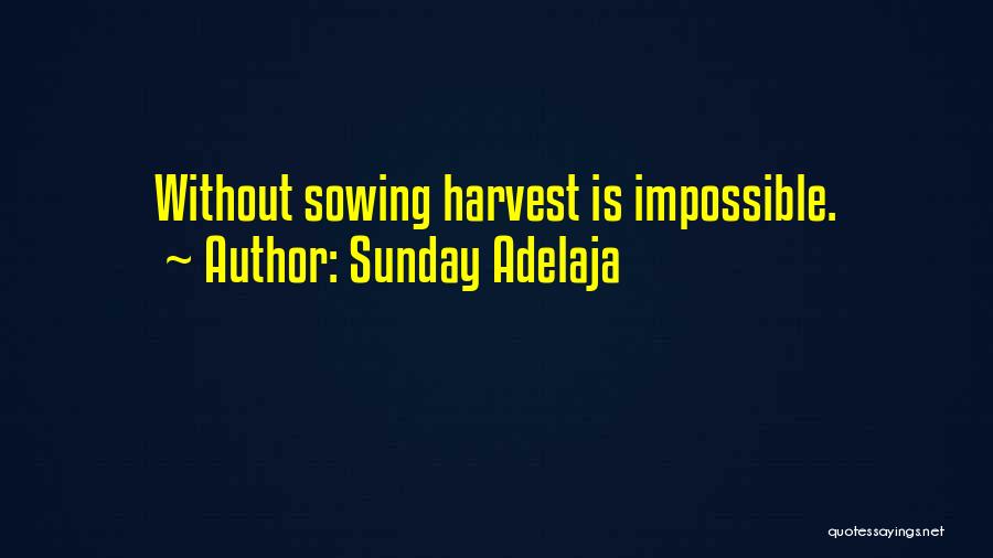 Seed Time Quotes By Sunday Adelaja