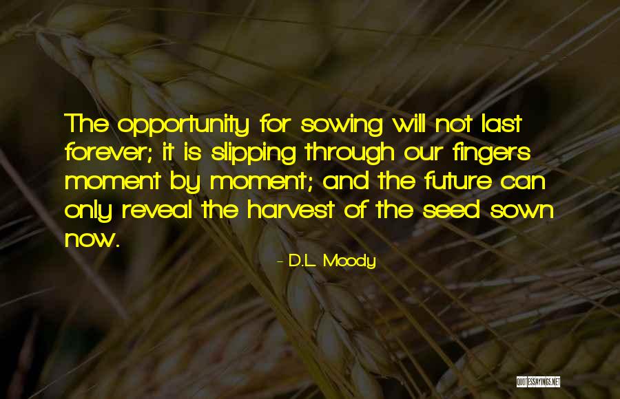 Seed Your Future Quotes By D.L. Moody Seed Your Future Quotes By D.L. Moody