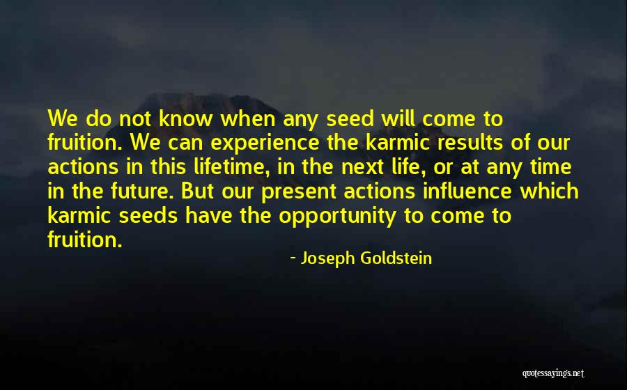Seed Your Future Quotes By Joseph Goldstein Seed Your Future Quotes By Joseph Goldstein