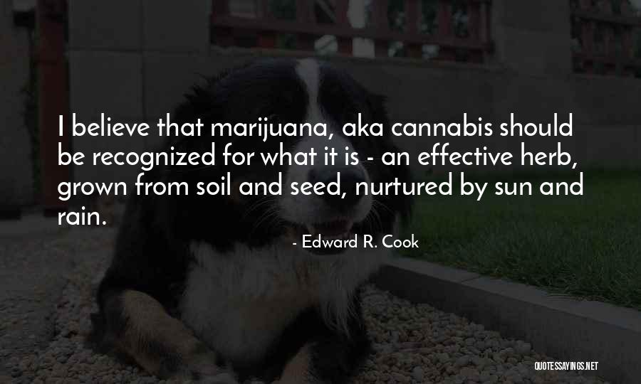 Seed Your Health Quotes By Edward R. Cook Seed Your Health Quotes By Edward R. Cook