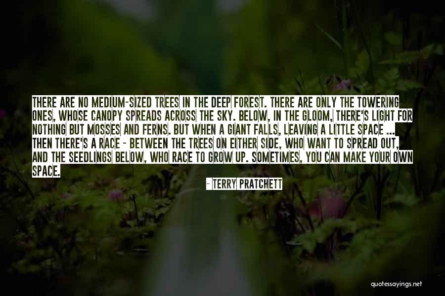 Seedlings Of Light Quotes By Terry Pratchett Seedlings Of Light Quotes By Terry Pratchett