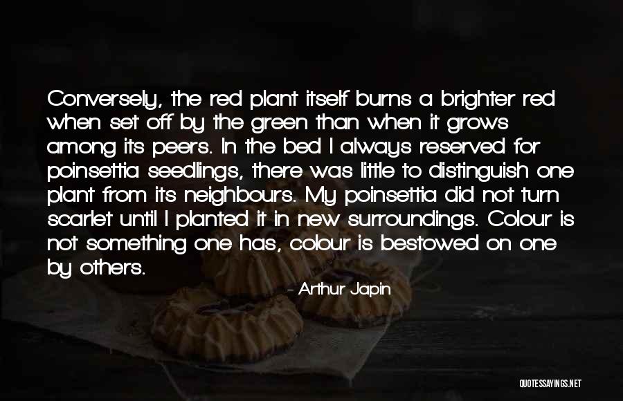 Seedlings Quotes By Arthur Japin