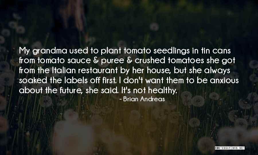 Seedlings Quotes By Brian Andreas