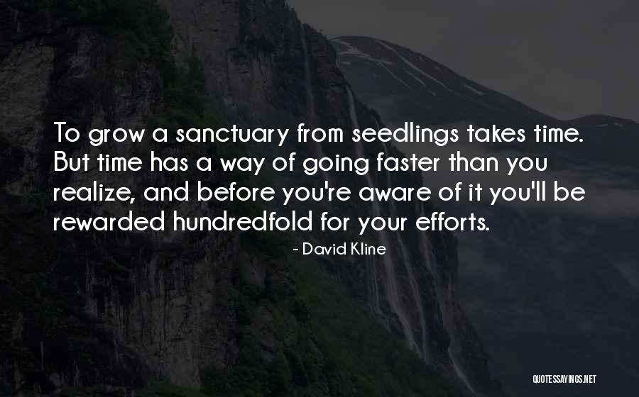 Seedlings Quotes By David Kline