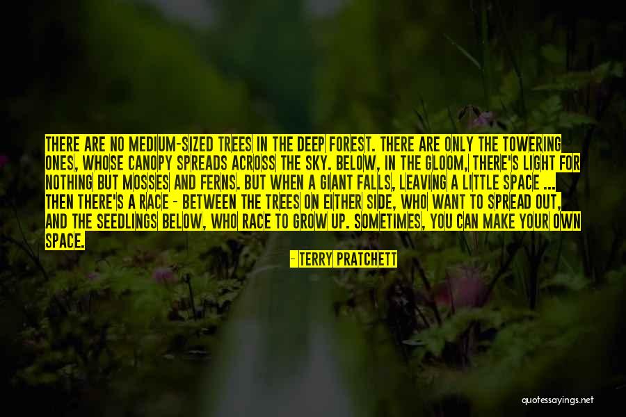 Seedlings Quotes By Terry Pratchett