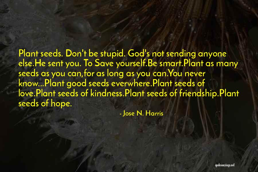 Seeds And Friendship Quotes By Jose N. Harris Seeds And Friendship Quotes By Jose N. Harris