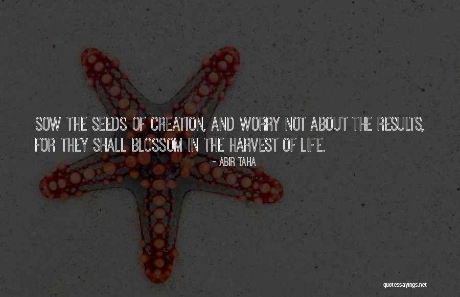 Seeds And Life Quotes By Abir Taha Seeds And Life Quotes By Abir Taha