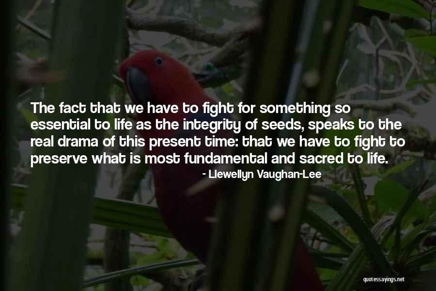 Seeds And Life Quotes By Llewellyn Vaughan-Lee Seeds And Life Quotes By Llewellyn Vaughan-Lee