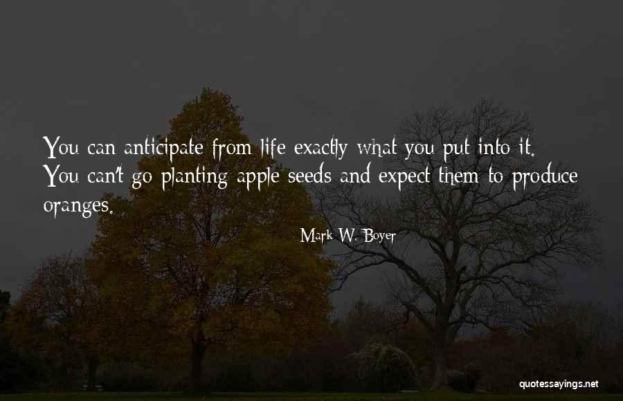 Seeds And Life Quotes By Mark W. Boyer Seeds And Life Quotes By Mark W. Boyer