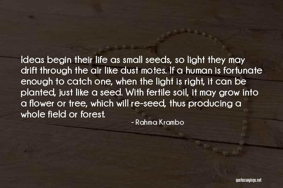 Seeds And Life Quotes By Rahma Krambo Seeds And Life Quotes By Rahma Krambo