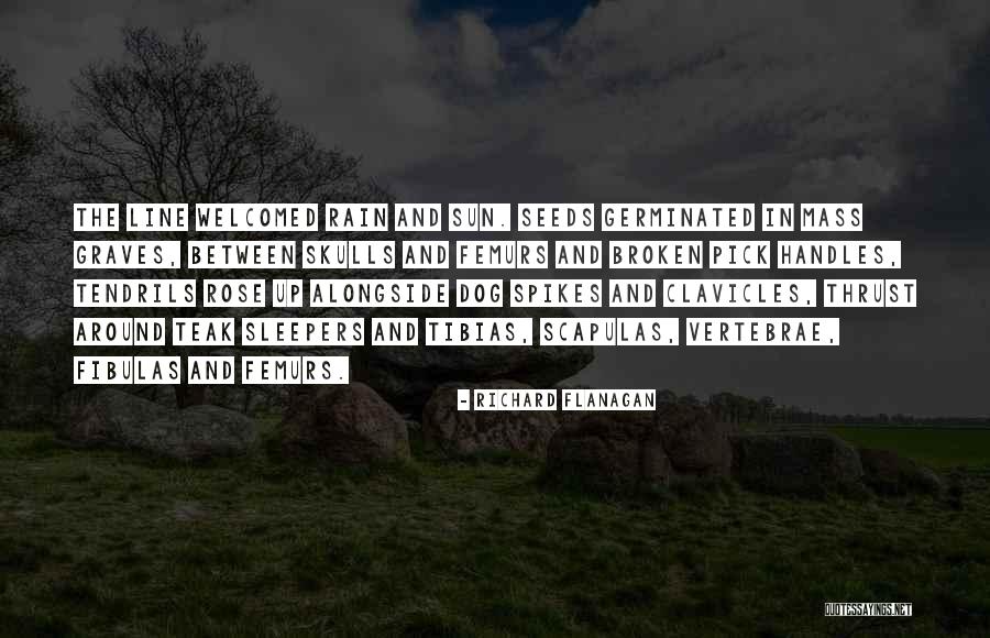Seeds And Life Quotes By Richard Flanagan Seeds And Life Quotes By Richard Flanagan