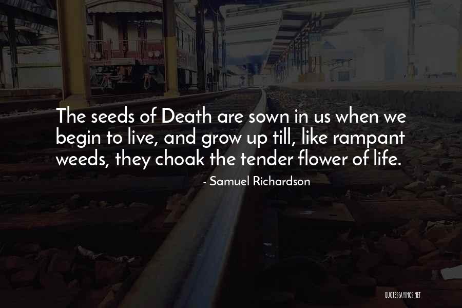 Seeds And Life Quotes By Samuel Richardson Seeds And Life Quotes By Samuel Richardson