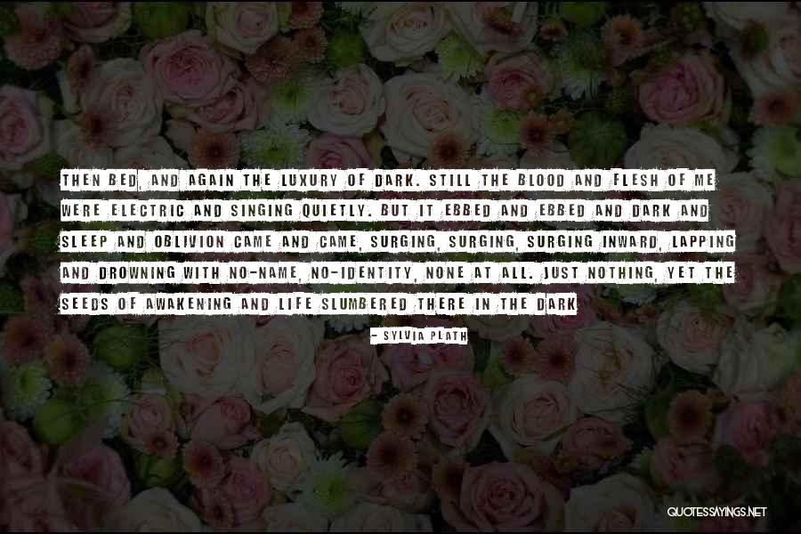 Seeds And Life Quotes By Sylvia Plath Seeds And Life Quotes By Sylvia Plath