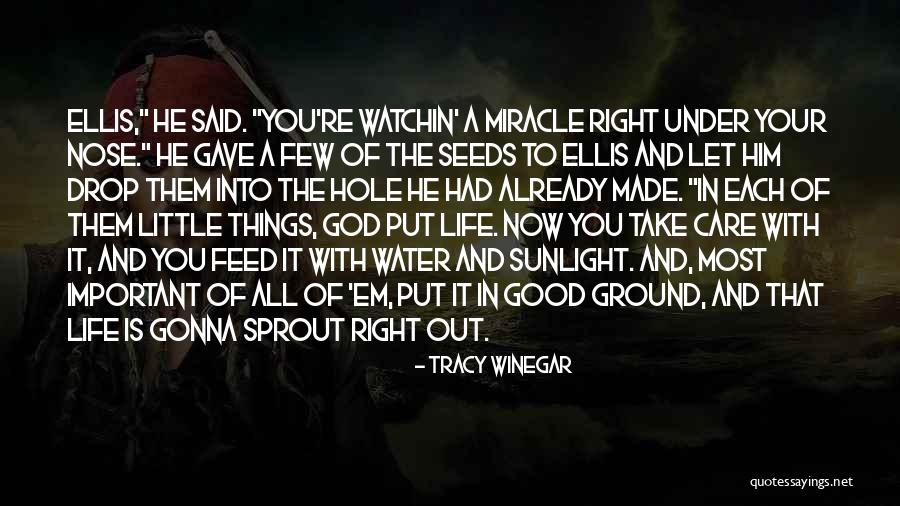 Seeds And Life Quotes By Tracy Winegar Seeds And Life Quotes By Tracy Winegar