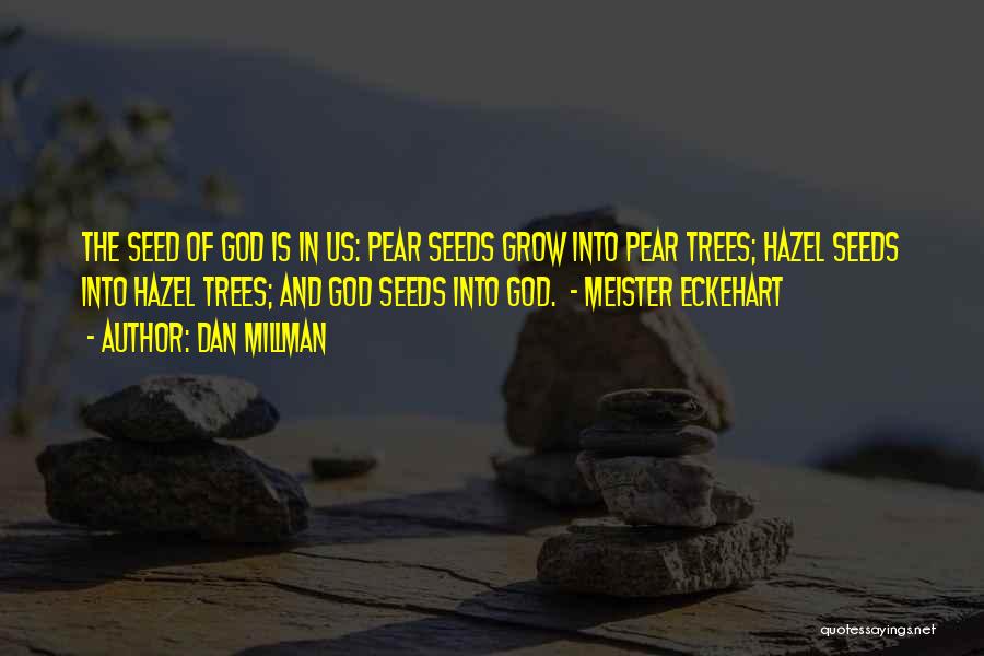 Seeds And Trees Quotes By Dan Millman