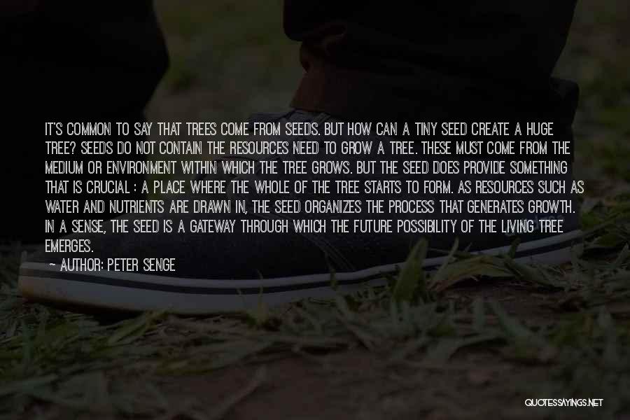 Seeds And Trees Quotes By Peter Senge