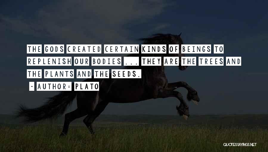 Seeds And Trees Quotes By Plato